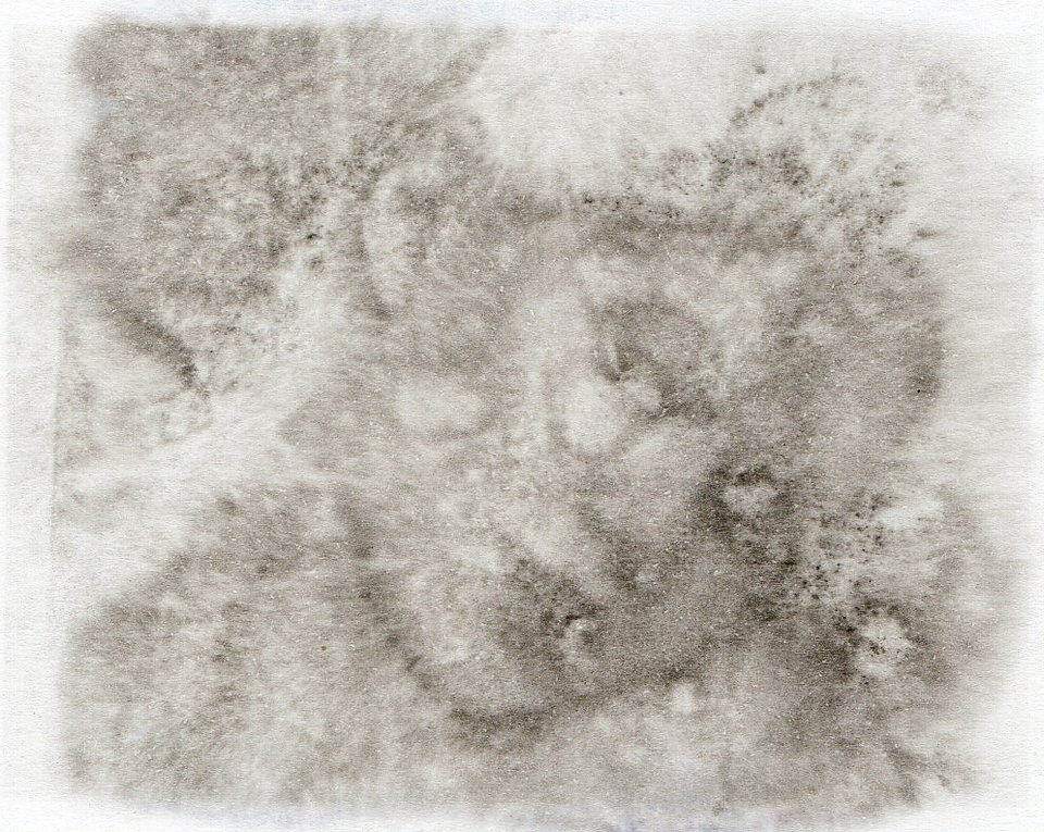 镜中维纳斯